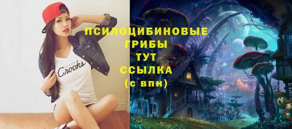 спиды Володарск